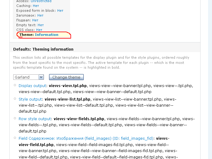 Views theme information